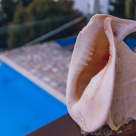 别墅 Niriis Áyios Nikítas